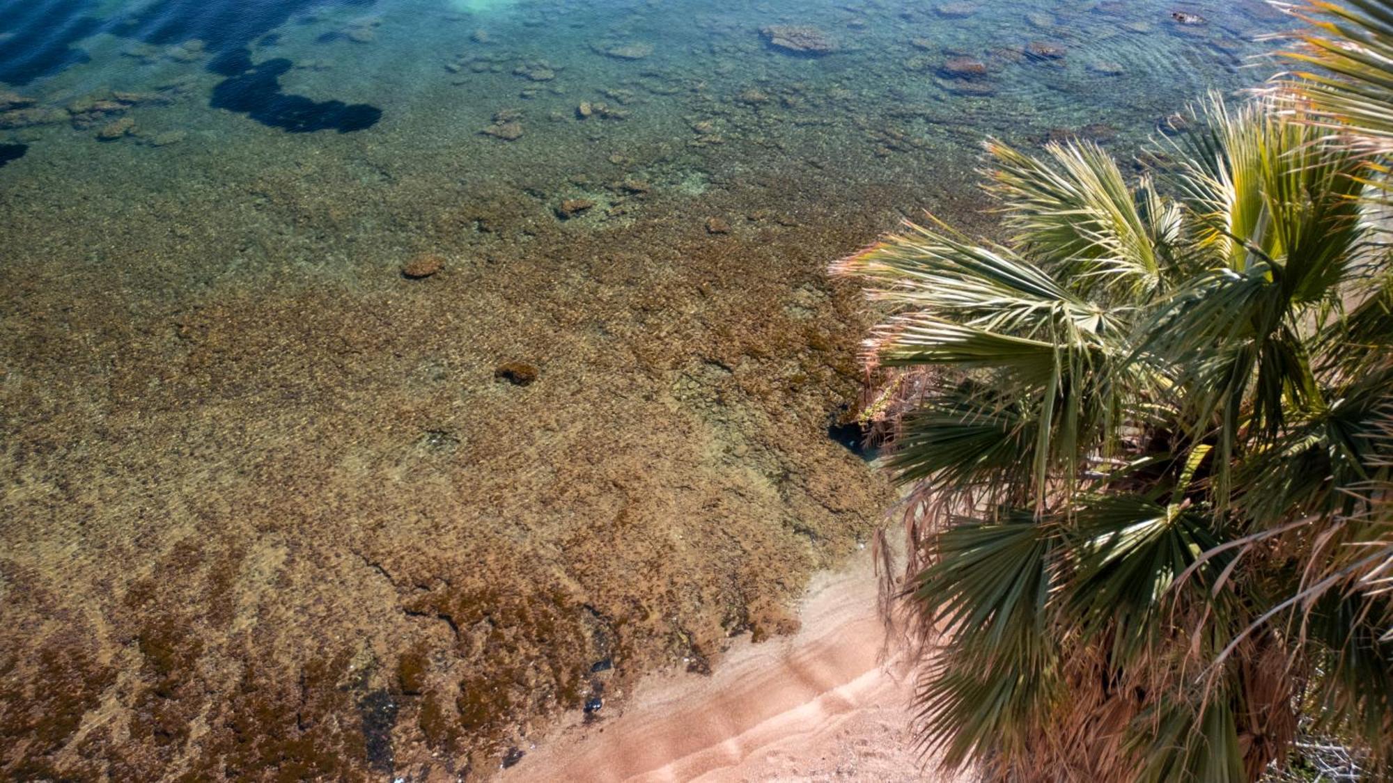 La Casetta Sul Mare Castellammare del Golfo Exterior foto